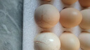 京鲜生富硒鲜鸡蛋30枚 3斤 源头直发 实拍图
