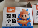 劲仔深海小鱼休闲零食鱼仔海味小吃小鱼干 麻辣+酱汁 600g 实拍图