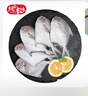 纯色本味 冷冻舟山白鲳鱼 800g 银鲳鱼 8-12条 地标产品 生鲜鱼类 实拍图