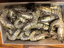鲜京采 2025福建活冻黑虎虾 净重3斤 2030规格 30-45只/盒 特大号 实拍图