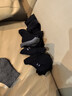 浪莎男士袜子男中筒棉袜长袜潮流弹力舒适透气袜商务休闲袜 黑4藏青2深灰4 10双 均码 （建议38-44码） 实拍图