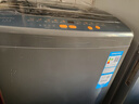 Haier海尔波轮洗衣机全自动8/10公斤大神童大容量租房家用神器升级除菌除螨洗柔护内筒以旧换新补贴统帅 8公斤双侧仿生过滤器+15分钟速洗+强力洗+桶自洁 实拍图