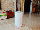 美的（Midea）空气加湿器大雾量家用卧室客厅孕妇母婴幼儿抗菌静音桌面小型宿舍超声波雾化器元旦礼物SC-3D50 实拍图