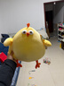 名创优品（MINISO）dundun鸡毛绒公仔墩墩鸡玩偶抱枕玩具送女友生日新年礼物女 大号 实拍图