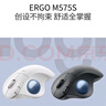 罗技（Logitech）ERGO M575 S 人体工学鼠标 轨迹球鼠标 无线蓝牙双模 办公鼠标 带无线2.4G接收器 石墨黑 实拍图