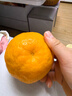京鲜生 四川春见耙耙柑 净重5斤单果180g起 生鲜水果柑橘桔子年货礼盒 实拍图