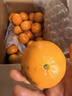 广西武鸣沃柑2025橘子新鲜水果当季一级沙糖蜜橘砂糖柑橘大果 大果(单果径65-70mm) 净重8.5斤 实拍图
