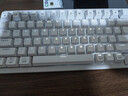 罗技（Logitech）灵砚系列 K868 三模客制化机械键盘 无线键盘 蓝牙键盘 客制化键盘 白色 实拍图