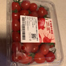 【水果菜】吮指小糖豆400g(小番茄) 实拍图