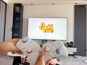 飞智冰原狼4多模版无线游戏手柄 类xbox 力调节摇杆双切扳机 switch电脑PC手机steam体感NS 丝之歌 实拍图