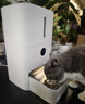 米家宠物喂食器2 小米自动狗狗猫咪定量定时喂食器 猫咪自动投食机 实拍图
