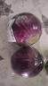 【戈壁菜】去皮紫洋葱700g 实拍图