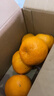 早熟新鲜椪柑丑橘子应季新鲜水果酸甜多汁整箱包邮 2斤装 实拍图