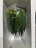 新鲜水果秋葵黄秋葵现摘现发生鲜蔬菜凉拌烧烤火锅食材减肥瘦身 现摘鲜嫩秋葵（试吃装） 500g 实拍图