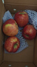 2025年现摘现发甘肃天水花牛苹果新鲜红蛇果粉面生鲜脆甜多汁A14 带箱2斤  果径65-70mm 实拍图
