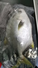 翔泰海南深海金鲳鱼700g 2条 火锅 年货节生鲜鱼类 BAP认证 海鲜水产  实拍图