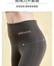 浪莎保暖裤女打底裤加绒加厚高腰大码可外穿羊羔绒无痕女士棉毛秋裤 实拍图
