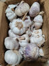 【营田半亩】蒜干蒜头蒜大蒜紫白皮大蒜当季蔬菜0.5-5斤 1斤带箱重【果径3.5-4.5cm】中果 实拍图