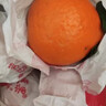 京鲜生 四川爱媛38号果冻橙 净重10斤 单果150g起 生鲜水果柑橘礼盒  实拍图