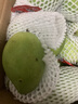 集南鲜 越南青玉芒果 芒果当季大青皮黄皮大芒果新鲜水果整箱 含箱10斤 单果250g起  净重9斤 实拍图