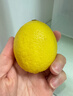 京鲜生 安岳黄柠檬16粒 单果95g起 生鲜水果 实拍图
