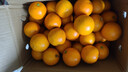 果果牛湖南麻阳冰糖橙 应当季新鲜水果手剥甜橙子高山夏脐血多汁 可选 净重9斤(单果60mm以下)实惠 实拍图