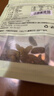 果夫子 蓝宝石葡萄干250g休闲零食 金手指 特级孕妇儿童免洗零食  实拍图