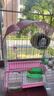 威毕鹦鹉鸟笼八哥玄凤牡丹虎皮珍珠文鸟绣眼专用鸟笼子家用繁殖外带笼 粉色鸟笼(草窝10件套) 长29.5*宽22*高41cm 实拍图