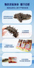 晓芹大连冷冻即食海参500g 10-14只 辽刺参 海鲜水产 年货 实拍图