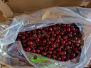 京鲜生 智利进口车厘子J级 10斤礼盒装 果径约26-28mm 水果礼盒 实拍图