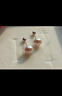 黛米S925银无核馒头圆5-6mm极简系列淡水珍珠耳钉新年礼物送女友老婆 实拍图
