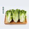 钟灵山罗马生菜400g 实拍图