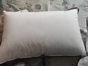 水星家纺枕头枕芯酒店枕头护颈枕头芯家用单个纯棉抗菌可水洗高枕48x74cm 实拍图