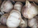 营田半亩今年干蒜头蒜大蒜紫白皮干蒜头山东金乡干大蒜头当季蔬菜200g-5斤 200g【果径3-3.5cm】袋装偏小 实拍图