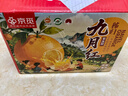 京觅秭归九月红果冻橙子爆汁净重4斤单果150g+新鲜水果源头直发包邮 实拍图