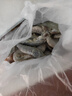 东上御品虾 青岛大虾基围虾鲜活青虾白虾海虾对虾冰虾冻虾生鲜 虾类 海鲜 3斤(净重)  气冻大虾【活虾速冻】 15-18cm【单只超大虾】 实拍图