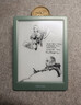 掌阅（iReader）【新品发布】Neo3 6英寸电子书 智能阅读器 墨水屏电纸书 AI看书学习漫画平板电脑 轻薄便携  语绿 实拍图