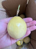 黄金百香果钦蜜9号大果孕妇新鲜当季鲜果妃多多 钦密9号百香果35-45g 10粒装 爆甜【产地直发】越皱越甜 实拍图