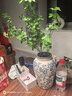 京东鲜花 中式陶瓷花瓶青花冰裂纹插花鲜花水培干花客厅高端装饰品摆件 实拍图