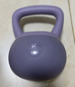 Keep软胶壶铃【4-12kg】家用健身提壶哑铃男士女士练手臂练臀紫色/6KG 实拍图