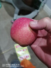 京鲜生 陕西洛川红富士苹果 净重5斤75-80mm单果170g+新鲜水果源头直发  实拍图