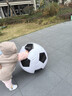 COODORA充气大足球户外草地露营玩具幼儿园巨型皮球儿童男孩生日礼物 实拍图