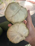 鲜福林云南牛奶凤梨释迦果新鲜应季水果超甜糯番荔枝 净重3斤（单果250g+ 甜糯爽滑) 实拍图