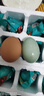新鲜咸鸭蛋 熟咸鸭蛋 红心流油蛋黄熟盐蛋真空包装 50g咸鸭蛋 20枚 实拍图