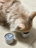 多特思鲜肉乳鸽猫罐头多种维生素主食猫粮增肥慕斯肉泥猫湿粮 【爆款直降】鸽肉口味60g*6罐 实拍图