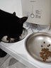 霍曼（Homerun）宠物智能自动喂食器猫粮定时猫咪自动投食机不锈钢双碗增高版 实拍图