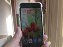 Apple【现货速发】苹果iPhone SE3 (第三代) 5G全网通 白色（晒单有礼） 64GB【原装未使用+店保两年】 实拍图