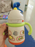 babycare儿童保温杯【咨询客服享优惠】婴儿吸管水杯婴儿保温杯水壶霸王龙 恐龙把手款 300ml -光电青 实拍图