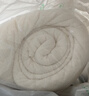 洁丽雅（Grace）新疆长绒棉 100%棉花被芯 秋冬被 6斤200*230cm 实拍图