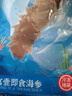 宫壹大连即食海参1斤15-25只 固形物超75%底播刺参鲜活海参加工免泡发 实拍图
